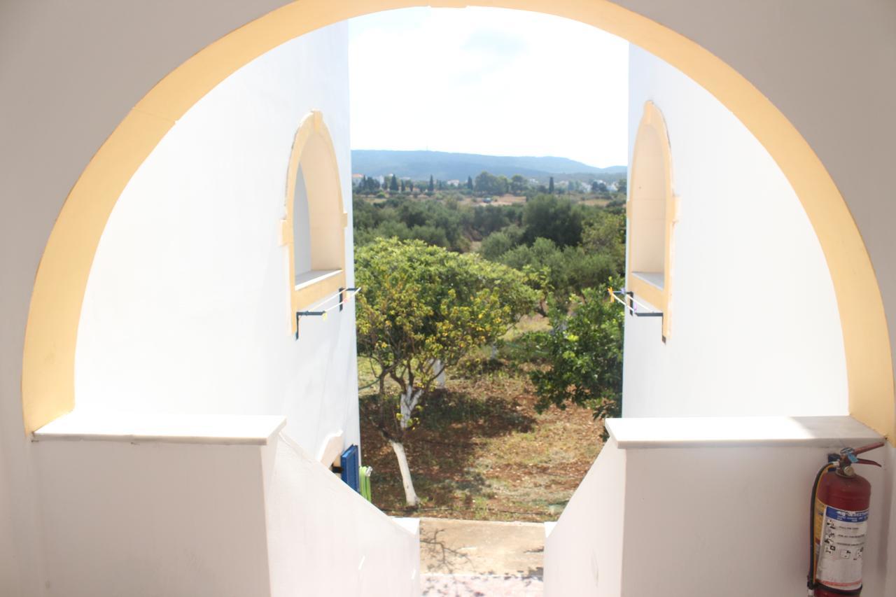 Theofilos Appartements Livadi  المظهر الخارجي الصورة