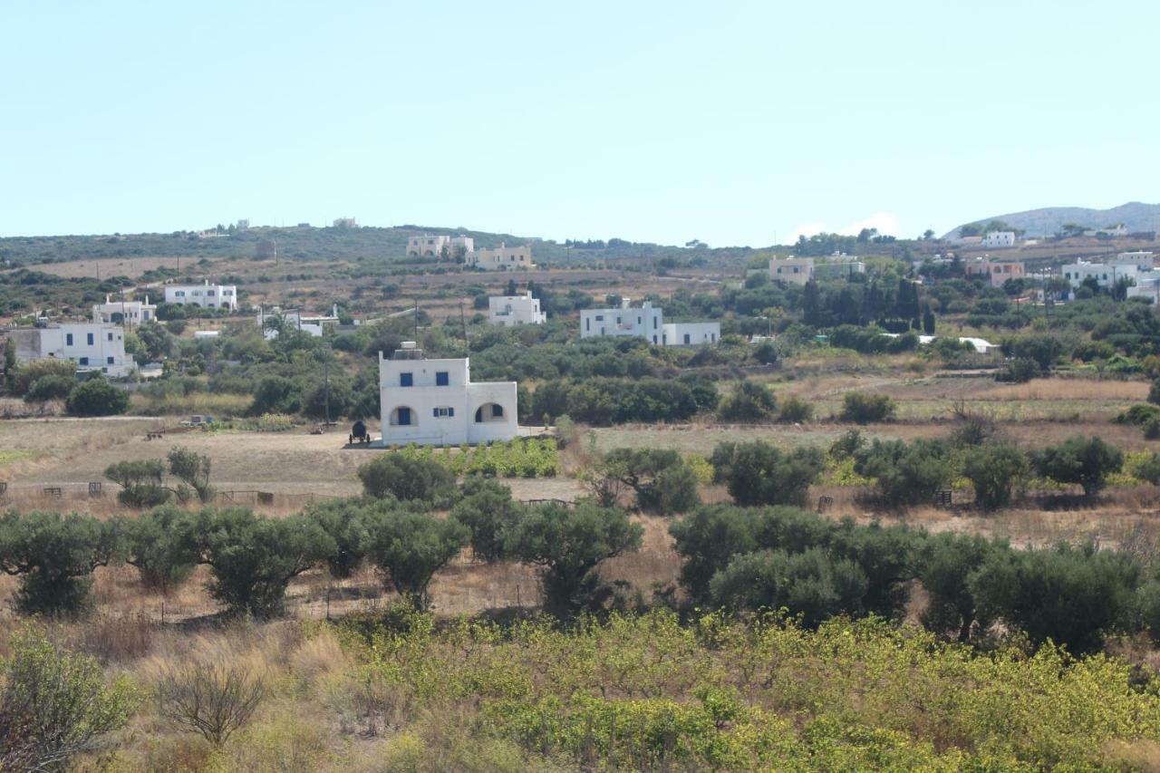 Theofilos Appartements Livadi  المظهر الخارجي الصورة